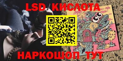 индика Гатчина