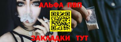 индика Гатчина