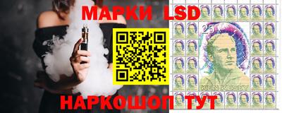 индика Гатчина
