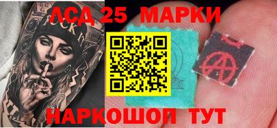 индика Гатчина