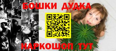 индика Гатчина