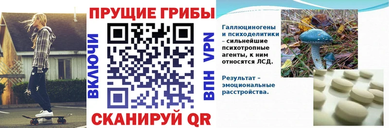 где продают   МЕГА вход  Галлюциногенные грибы мухоморы  сайты даркнета какой сайт  Первоуральск 